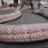 这么大的眼镜王蛇，直接上手抓，厉害了。这是一条关于蛇的视频合辑，对蛇类敏感者请谨慎观看视频。这条视频来自国外网站，请勿捕