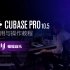 Cubase pro10.5使用与操作教程 | 蝙蝠音乐出品 |最新全面的cubase软件操作教程