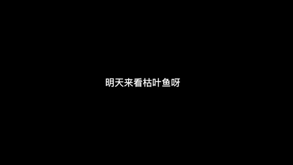 鱼缸的日与夜~咦~我真酸