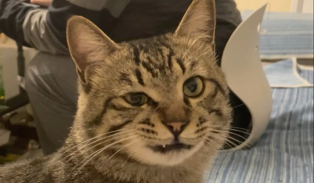 人，咪劝你识相点，快跟我玩！