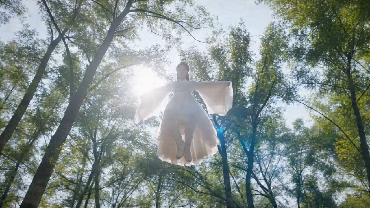 你的路到此为止