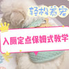 狗狗入厕定点保姆式教学，让你告别乱拉乱尿，轻松养宠