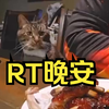 RT晚安