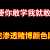 【判刑率99.9%】500集暗网黑客技术教程，学完之后渗透赌博颜色网站，只要你敢学我就敢教，零基础学习网络安全/渗透测试/信息安全/DDoS攻击