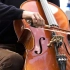 【公开课】大提琴教材视频【全】
