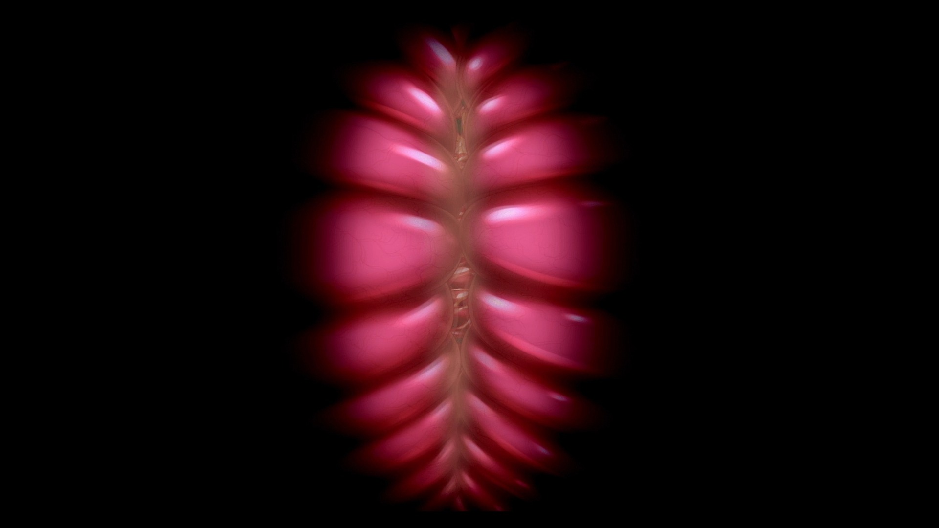 触手拘束地狱一小时