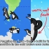 【分钟地球】为什么赤道也有企鹅？