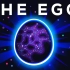 【Kurzgesagt】The Egg （1080p 中英字幕 非机翻）