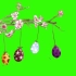绿幕视频素材樱花彩蛋