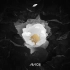 Avicii-Without you原版MV中文版