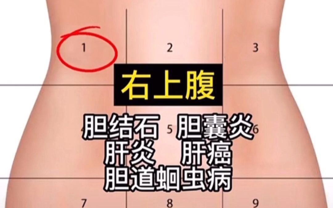 肚子痛？具体哪里痛，如何跟医生说清楚？一张图告诉你！