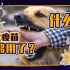【睡前消息146】中国花100亿造狂犬疫苗都不够用？问题还是出在狗身上！