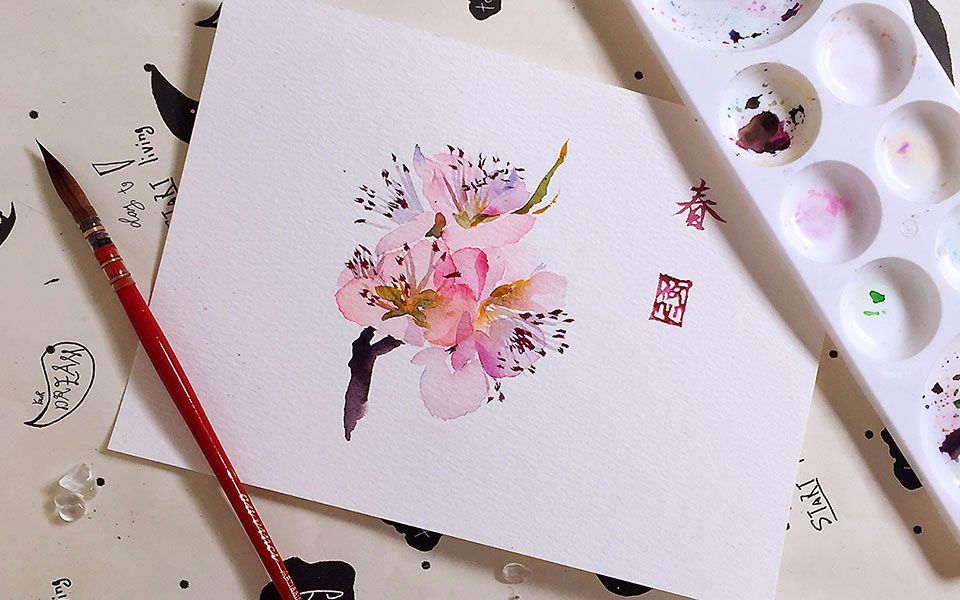 【水彩画】桃花-线稿什么的,没时间画.