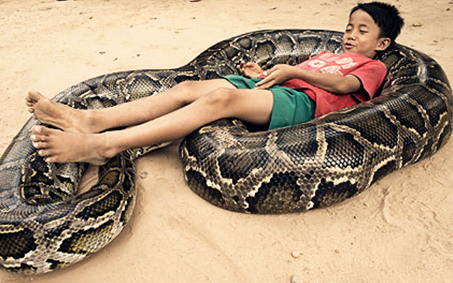 柬埔寨少年与巨蟒上演了一段17年的“人蛇情未了”【寰球大百科219】