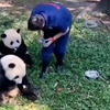 渝可渝爱