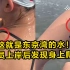 这就是东京湾的水！运动员上岸后发现身上爬小虫