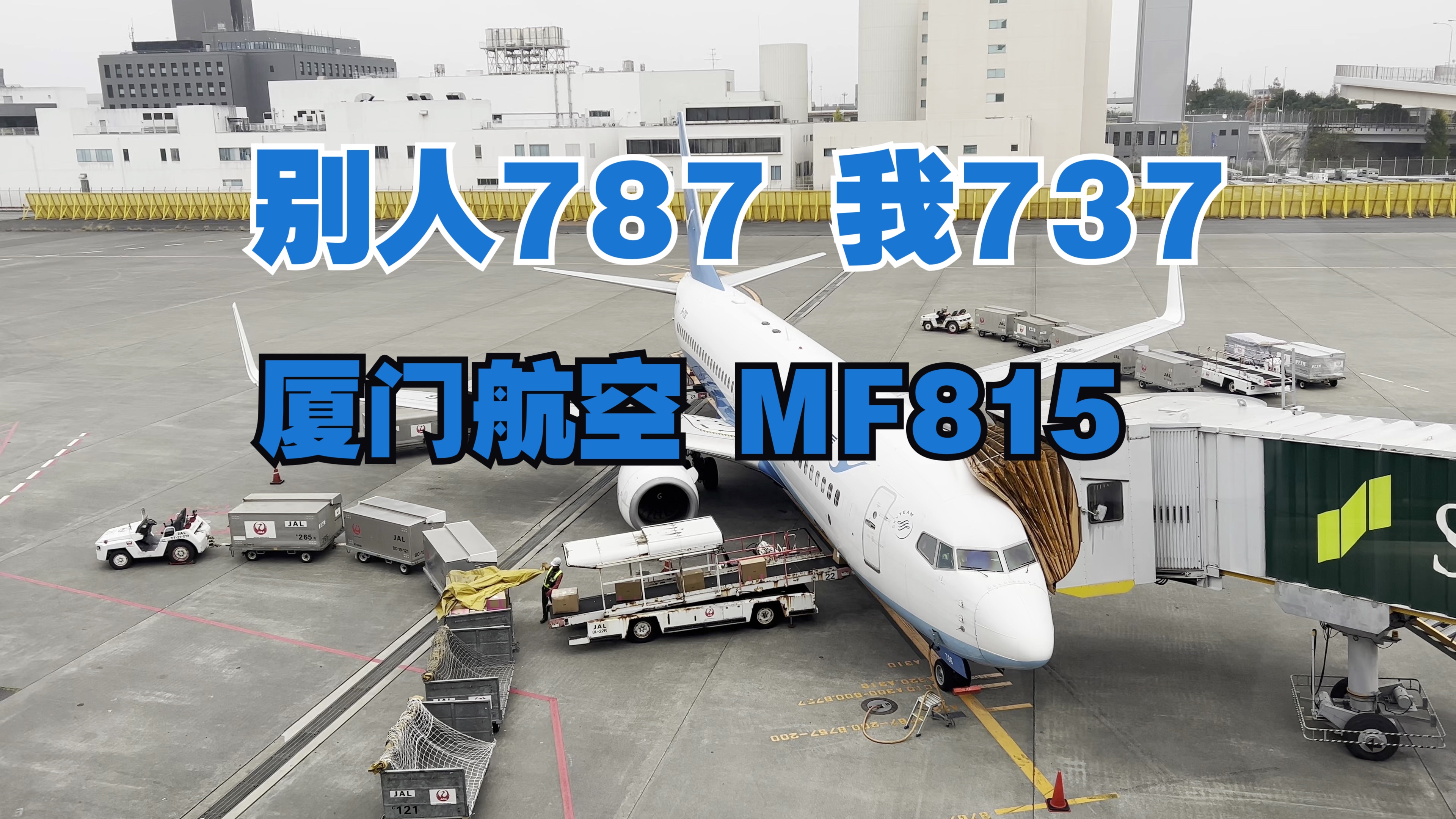都是787的航线坐上了737？ 厦门航空 MF815 厦门高崎-东京成田 记录