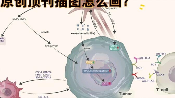 科研绘图-用AI画顶刊插图，看我画图，给自己文章提升格调，往期案例重画，吸取经验自己动手画一张吧