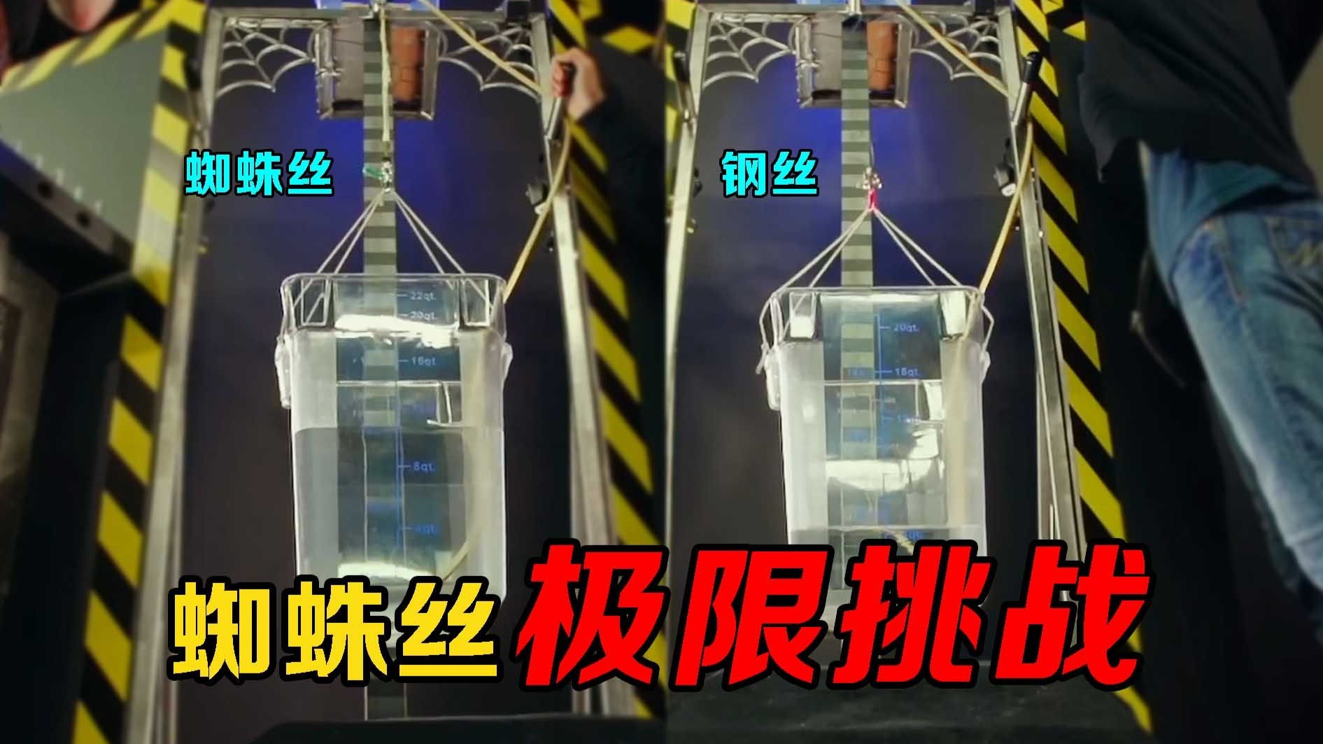 蜘蛛丝到底有多结实？把25000根蛛丝绑水箱上，有趣的现象发生了