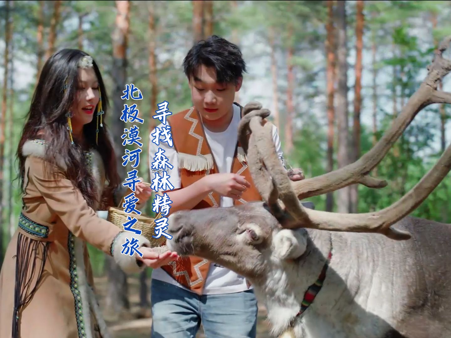 在漠河，我们一起寻找呆萌可爱的森林精灵，一同走近驯鹿的世界。在鄂温克驯鹿园，了解鄂温克族文化，跟驯鹿近距离互动。徜徉在白桦林里，充分感受大自然的气息。