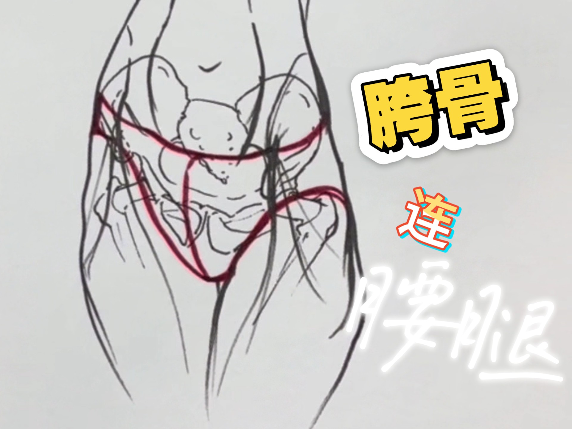 让你秒懂人体的腰胯腿连接！收藏必备