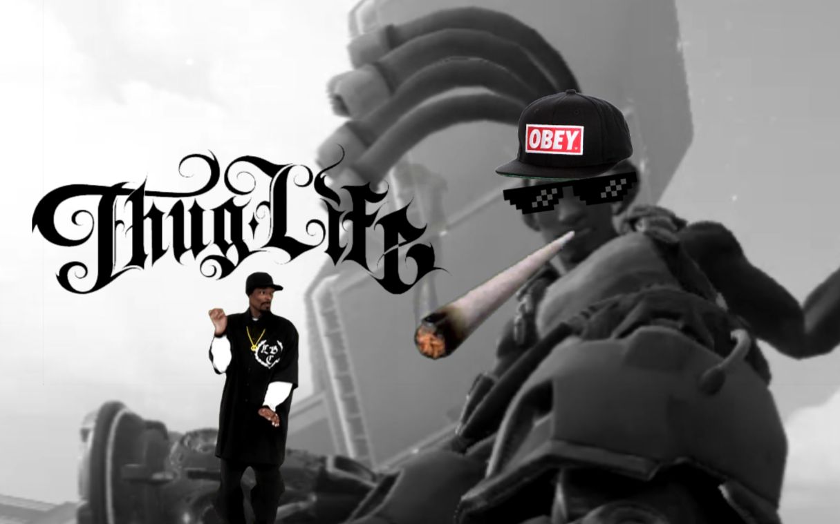 【thug life & mlg】我的风暴英雄暴徒生涯 第四期