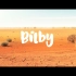 奥斯卡最佳动画短片提名:bilby