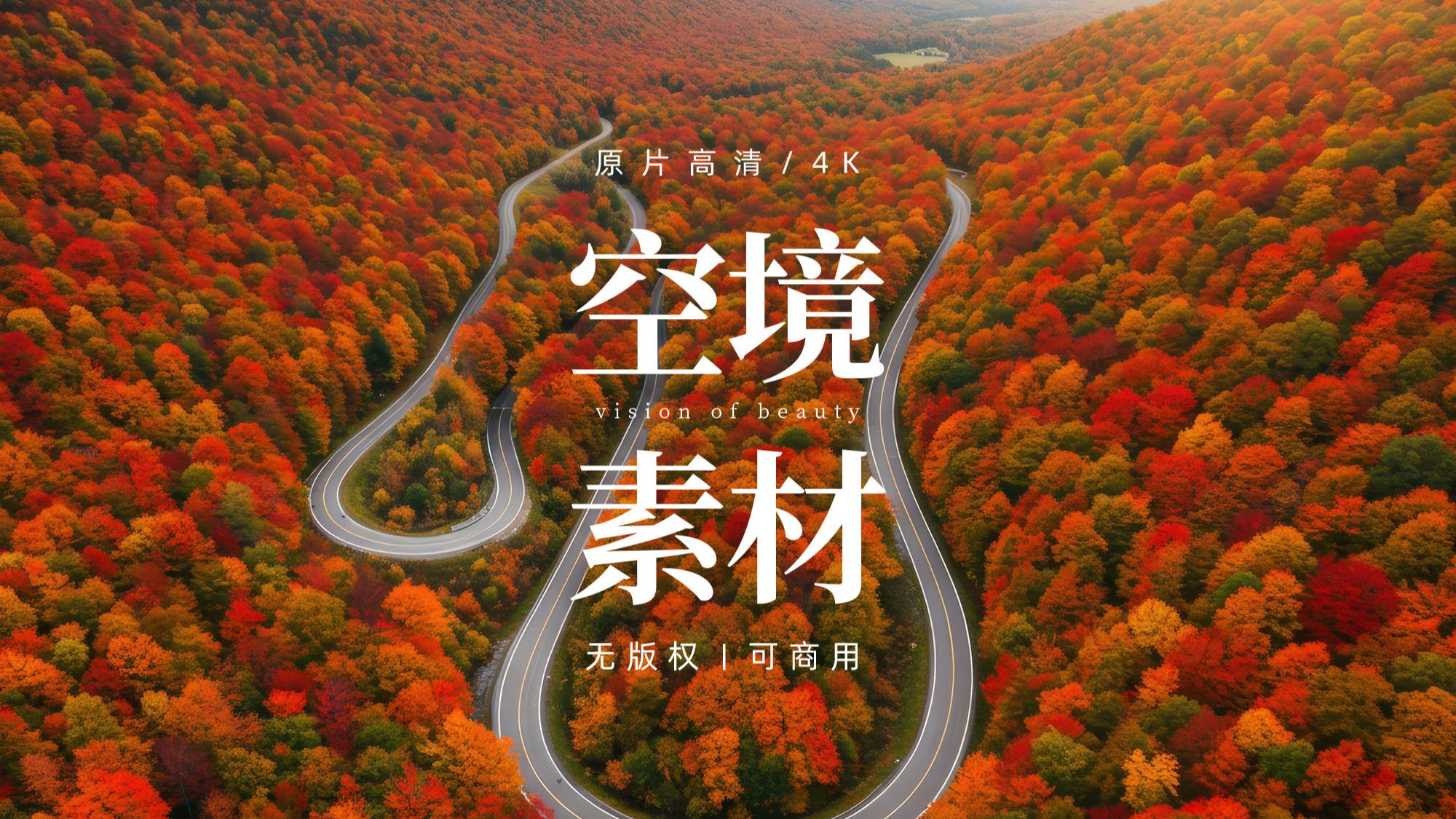 【剪辑空镜】治愈唯美自然森林视频素材