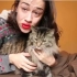 【中文字幕】Miranda教你如何抚摸一只猫猫
