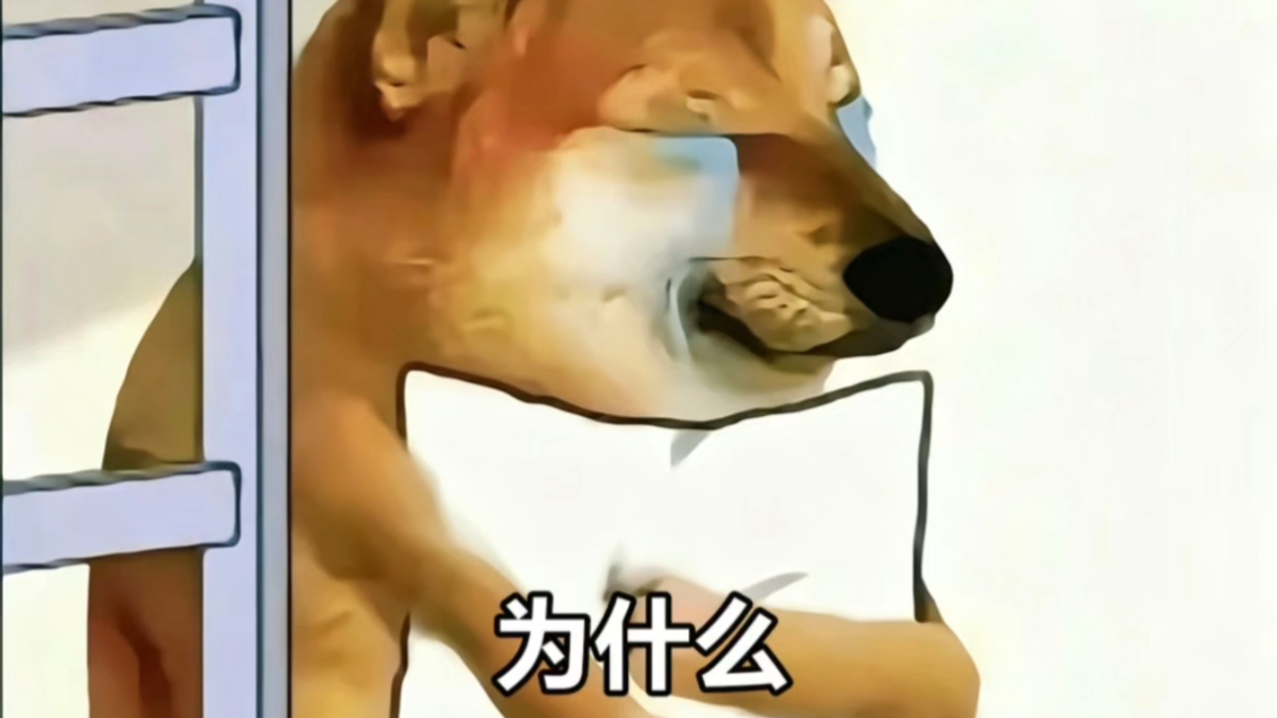 理想女友千夏