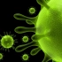 新型冠状病毒系列微课 第二期 免疫与肺炎（B站版）