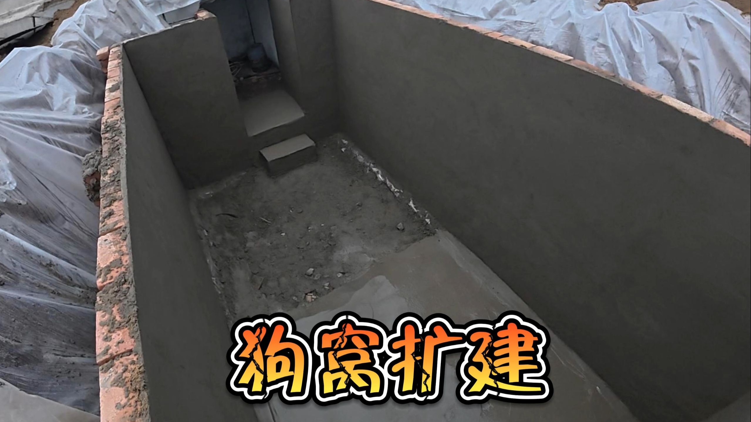 今天挖个超大号地下狗窝！
