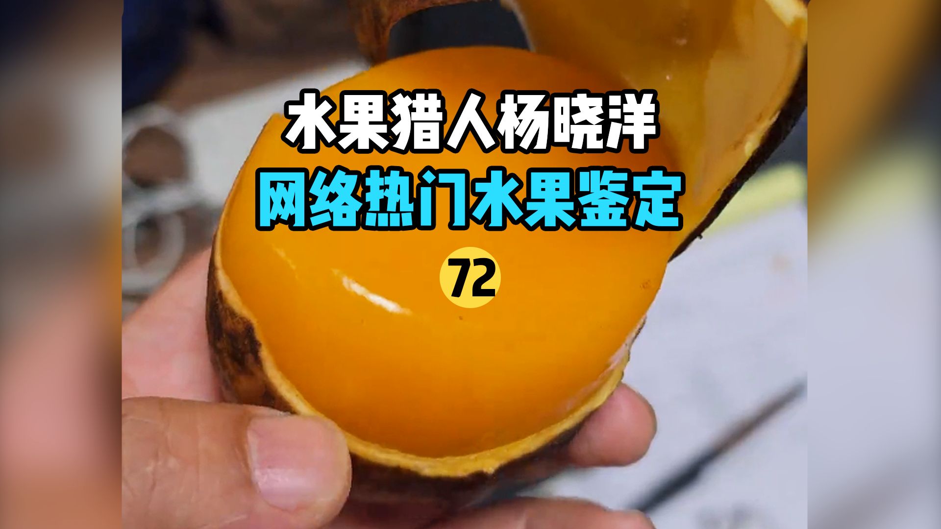 【水果猎人】网络热门水果鉴定72
