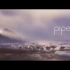 第89届《鹬》Piper『历届奥斯卡最佳动画短片』