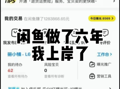 闲鱼做了六年我上岸了