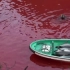 《海豚湾》为了捕杀海豚，那染红整片海域的鲜血，令人触目惊心
