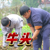 【胖松松和瘦毛毛】最新视频已上线，快来围观