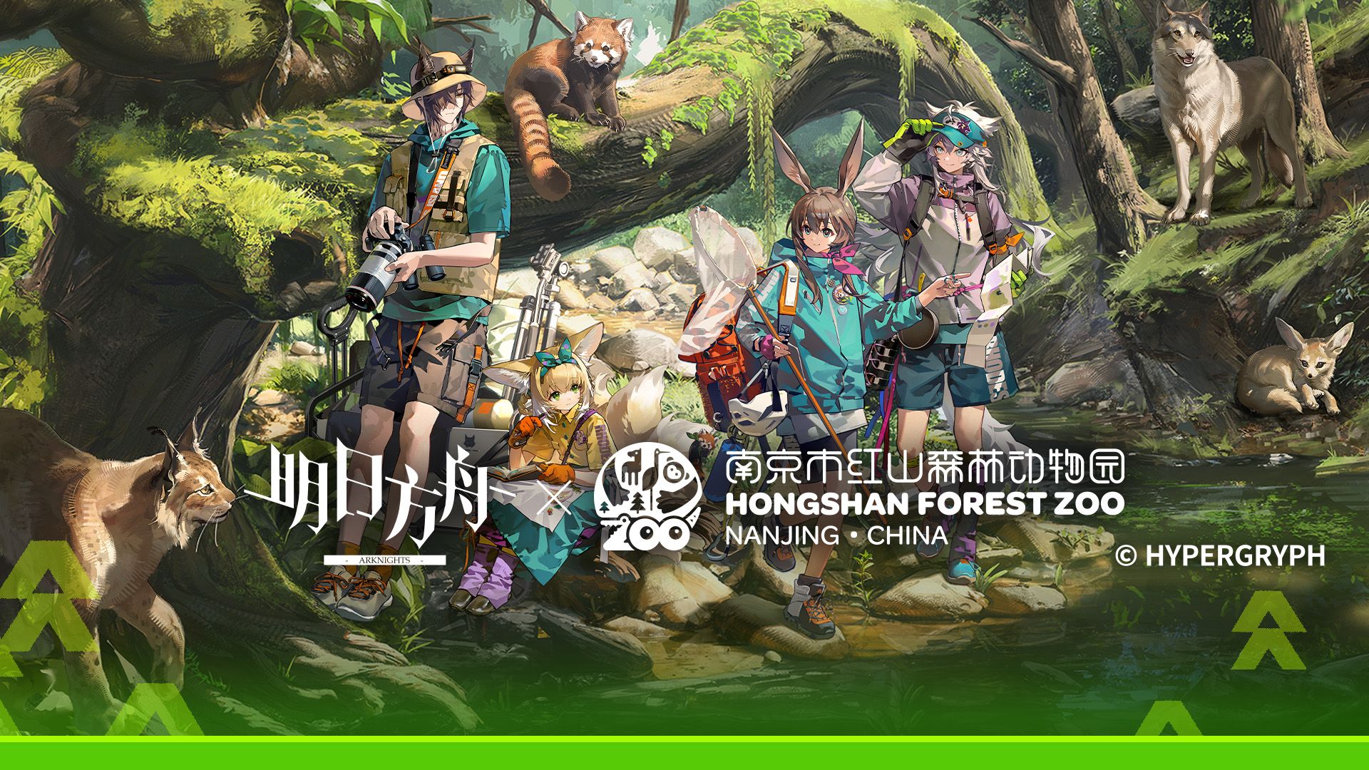 《明日方舟》× 南京市红山森林动物园 「山林未远，夏荫同栖」合作宣传PV