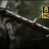 【HDR彩色4000nit】标准4K 120FPS 罕见的二战战地德军战斗镜头Ⅰ