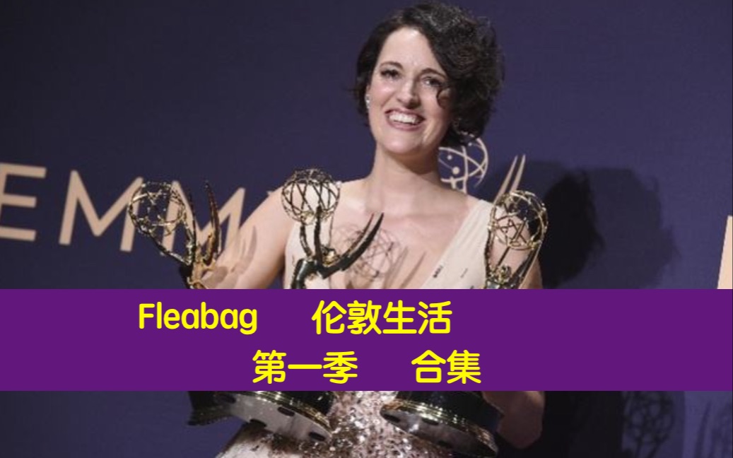 伦敦生活Fleabag｜第一季｜合集（已完结）