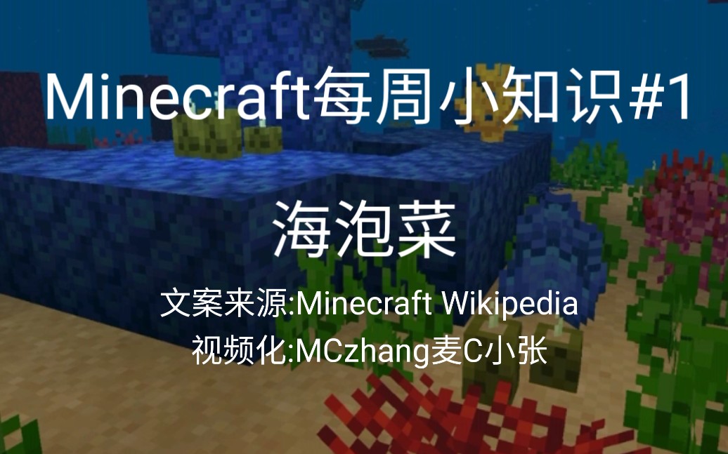 Minecraft每周小知识 1 海泡菜 哔哩哔哩 つロ干杯 Bilibili