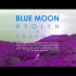 【孝琳】BLUE MOON（原版MV） (Prod. GroovyRoom)