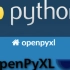 Python+Openpyxl 真实财务开发教学