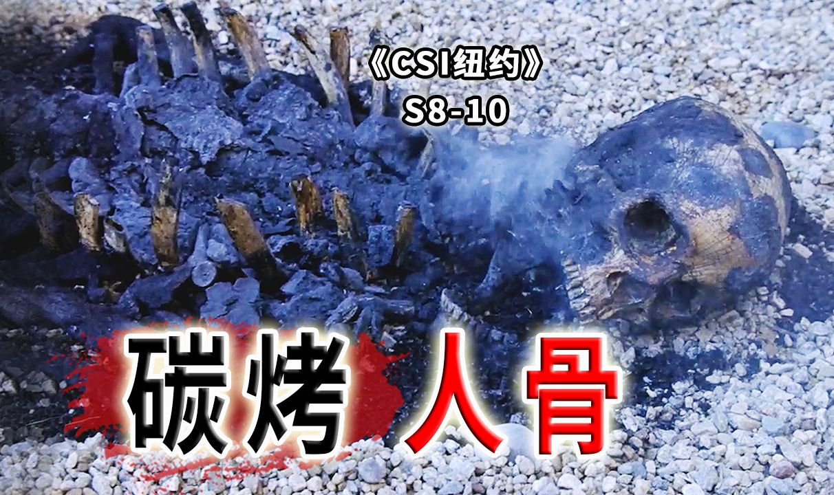 格斗冠军成了碳烤骨架，两个可怜的男人，一个悲剧的故事《CSI纽约》S8-10