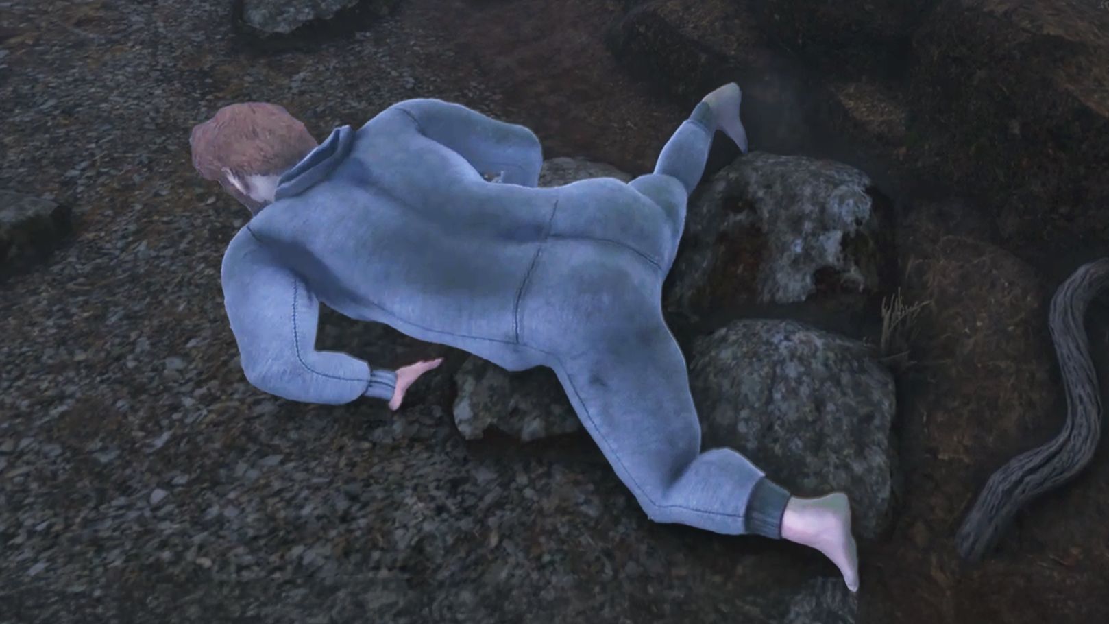 《人类早期驯服野生四肢珍贵影像》