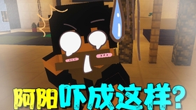 我的世界阿阳虚无传20:阿阳一睁眼被村民围住,自己竟成表情包
