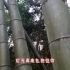 歌神接班人陈奕迅的《不要说话》配上梅岭的竹林，优美！