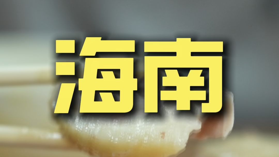海南.鸡饭 厨子探店¥241