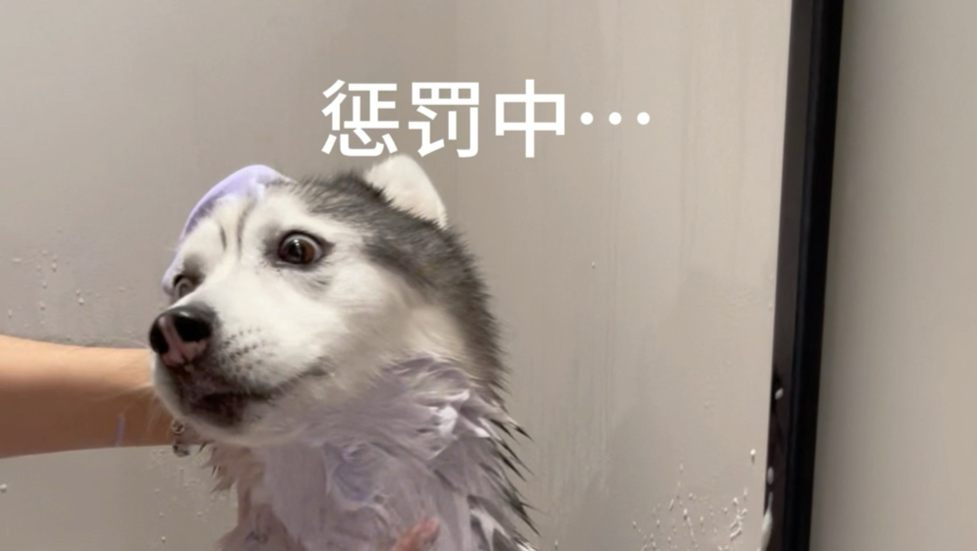 我们家向来都是很民主的