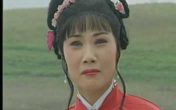 豫剧电影泪洒相思地